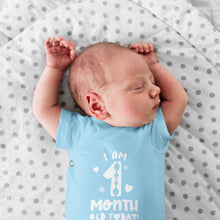 Month Birthday Celebration Short Sleeve Bodysuits