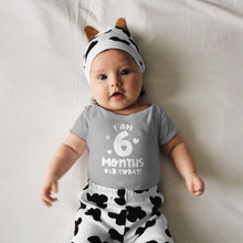 Month Birthday Celebration Short Sleeve Bodysuits