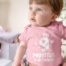 Month Birthday Celebration Short Sleeve Bodysuits