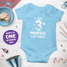 Month Birthday Celebration Short Sleeve Bodysuits