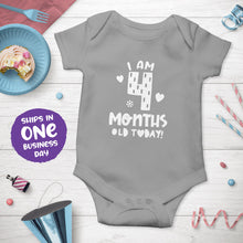 Month Birthday Celebration Short Sleeve Bodysuits